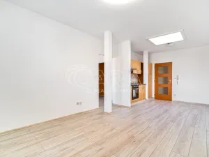 Pronájem bytu 2+kk, Ostrava - Mariánské Hory, Jiřího Trnky, 44 m2