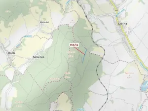 Dražba lesa, Nová Hradečná, 12014 m2