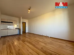 Pronájem bytu 1+kk, Ostrava - Výškovice, Výškovická, 29 m2