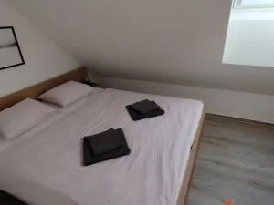 Prodej rodinného domu, Orlické Záhoří, 184 m2