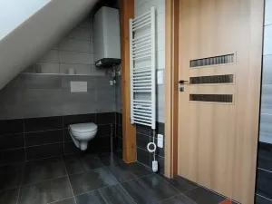 Prodej rodinného domu, Orlické Záhoří, 184 m2