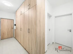 Pronájem bytu 2+kk, Plzeň - Jižní Předměstí, Železná, 52 m2