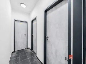 Pronájem bytu 2+kk, Plzeň - Jižní Předměstí, Železná, 52 m2