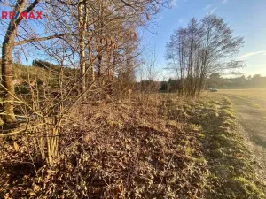 Prodej pozemku pro bydlení, Vyskytná nad Jihlavou, 557 m2
