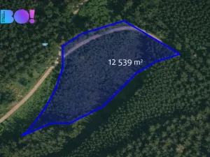 Prodej lesa, Jasenná, 58310 m2