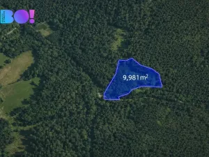 Prodej lesa, Jasenná, 58310 m2
