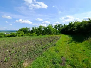 Prodej zahrady, Uherský Brod, 2032 m2