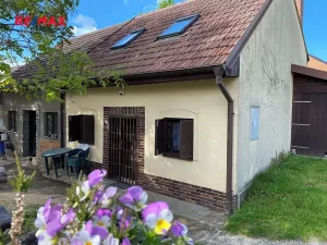 Prodej vinného sklepa, Mikulčice, 84 m2