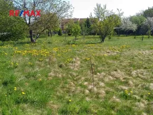 Prodej pozemku pro bydlení, Mikulovice, 1350 m2