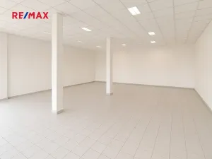 Prodej obchodního prostoru, Břeclav, Národních hrdinů, 161 m2