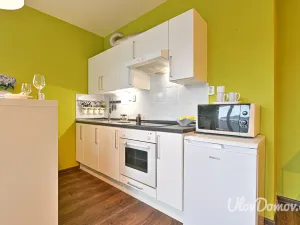 Pronájem bytu 1+kk, Praha - Záběhlice, Mikanova, 33 m2