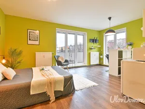 Pronájem bytu 1+kk, Praha - Záběhlice, Mikanova, 33 m2