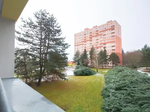 Pronájem bytu 1+1, Brno, Halasovo náměstí, 34 m2