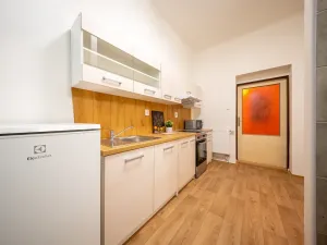 Pronájem bytu 2+kk, Brno, Svatopetrská, 42 m2