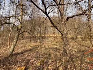 Prodej pozemku pro bydlení, Úhlejov - Chroustov, 12282 m2