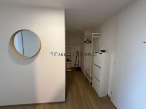 Pronájem bytu 2+kk, Ostrava - Slezská Ostrava, U Hájenky, 56 m2