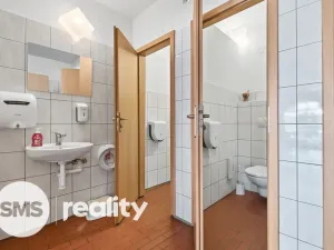 Prodej komerční nemovitosti, Březí, Dunajovická, 476 m2