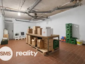 Prodej komerční nemovitosti, Březí, Dunajovická, 476 m2
