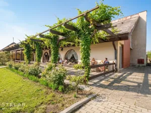 Prodej rodinného domu, Březí, Dunajovická, 476 m2