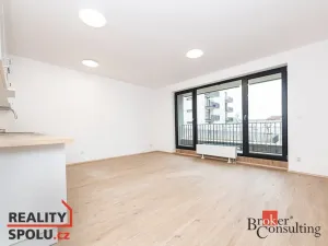 Prodej bytu 1+kk, Plzeň - Jižní Předměstí, Železná, 40 m2