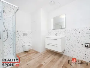 Prodej bytu 1+kk, Plzeň - Jižní Předměstí, Železná, 40 m2