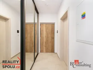 Prodej bytu 1+kk, Plzeň - Jižní Předměstí, Železná, 40 m2