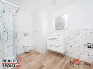 Prodej bytu 1+kk, Plzeň - Jižní Předměstí, Železná, 40 m2