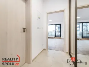 Prodej bytu 1+kk, Plzeň - Jižní Předměstí, Železná, 40 m2