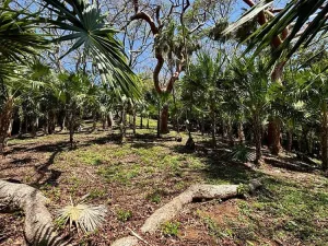 Prodej pozemku, Coxen Hole, Roatán, Honduras, 1902 m2