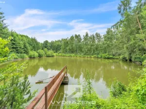 Prodej rybníku, Sudslava, 15149 m2