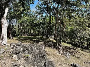 Prodej pozemku, Coxen Hole, Roatán, Honduras, 1884 m2