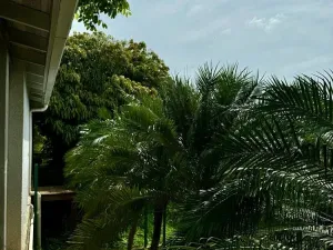 Prodej rodinného domu, Coxen Hole, Roatán, Honduras, 668 m2