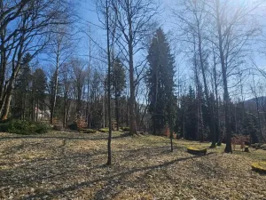 Prodej ubytování, Janov nad Nisou, 635 m2