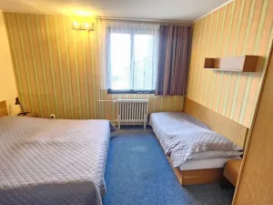 Prodej ubytování, Janov nad Nisou, 635 m2