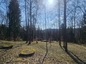 Prodej rodinného domu, Janov nad Nisou, 635 m2