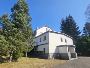 Prodej rodinného domu, Janov nad Nisou, 412 m2