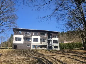 Prodej pozemku pro bydlení, Janov nad Nisou, 8231 m2