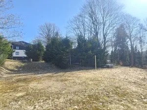 Prodej pozemku pro bydlení, Janov nad Nisou, 11396 m2
