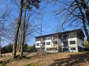 Prodej rodinného domu, Janov nad Nisou, 1047 m2