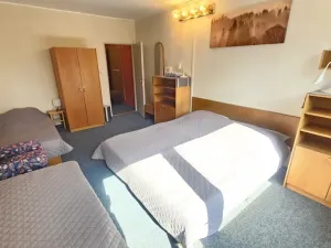 Prodej rodinného domu, Janov nad Nisou, 1047 m2