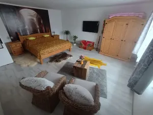 Prodej rodinného domu, Mrákov, 200 m2