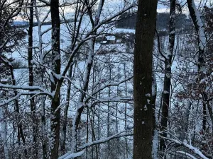 Prodej lesa, Dolní Bousov, 59634 m2