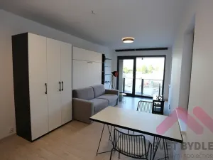 Pronájem bytu 1+kk, Praha - Karlín, U Mlýnského kanálu, 42 m2