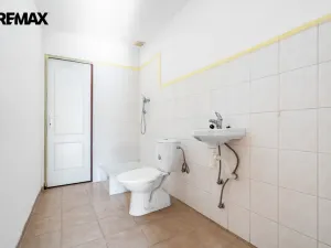 Prodej zemědělské usedlosti, Hluboké Dvory, 951 m2