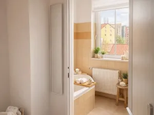 Pronájem bytu 1+1, Děčín - Děčín VI-Letná, Rokycanova, 38 m2