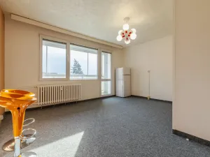 Pronájem bytu 1+kk, Plzeň - Severní Předměstí, Sokolovská, 27 m2