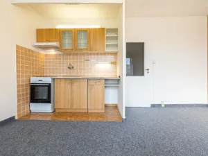 Pronájem bytu 1+kk, Plzeň - Severní Předměstí, Sokolovská, 27 m2