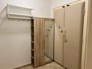 Prodej bytu 2+kk, Praha - Žižkov, Jana Želivského, 44 m2