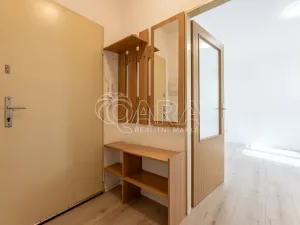 Pronájem bytu 1+kk, Praha - Vinohrady, 24 m2