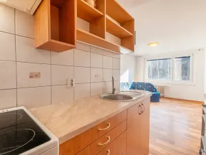 Prodej bytu 2+kk, Teplice, Pražská, 40 m2